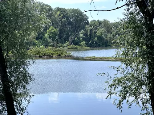 Csobaji-holtág/Kifli-tó - Galéria kép