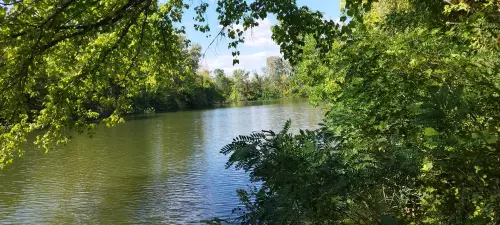 Hármas Körös - Galéria kép