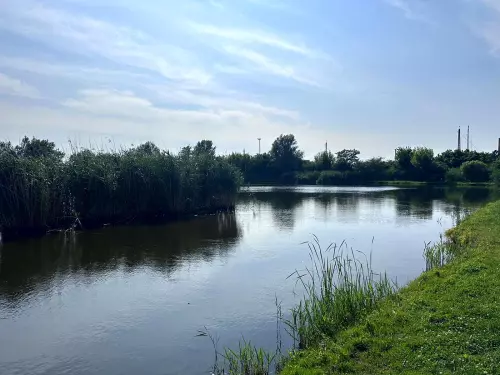 Homokos-tó - Galéria kép