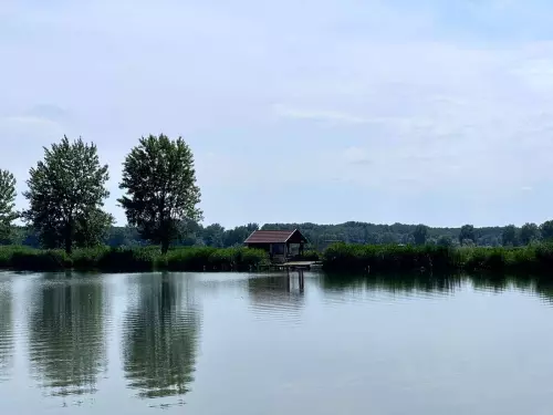 Tokaji Kovács horgásztó - Galéria kép