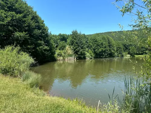 Kondói II. bányató - Galéria kép