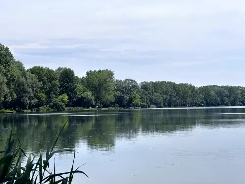 Csobaji-holtág/Kifli-tó - Galéria kép