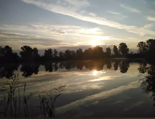 Király Ponty horgásztó - Galéria kép