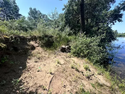 Hejőkürti homokbányató - Galéria kép