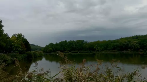 Mókus horgásztó - Galéria kép