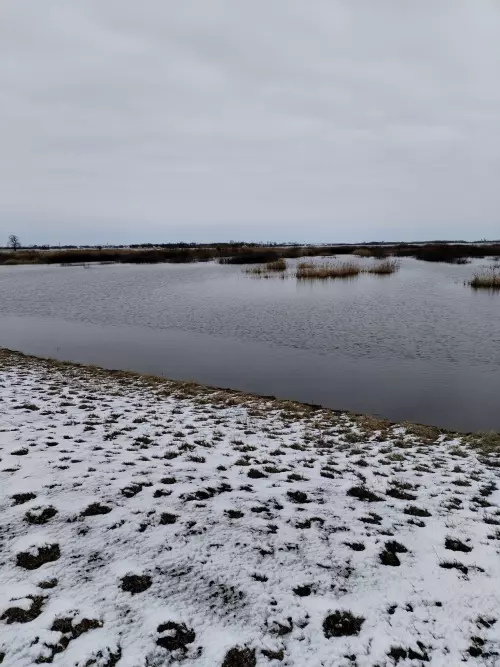 Bácsborsódi víztározó - Galéria kép