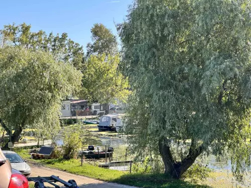 Horgászhely: Delfin Kikötő