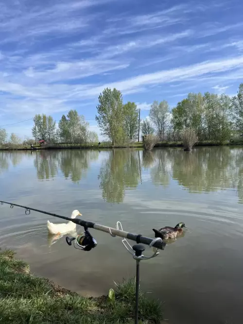 Gyékényes Horgásztó - Galéria kép