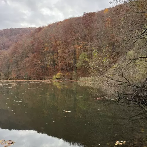 Hámori-tó - Galéria kép