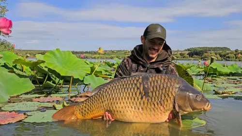 Don Carp Lake - Galéria kép