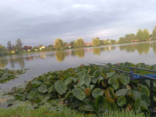 Horgászhely: Édenkert Tavak