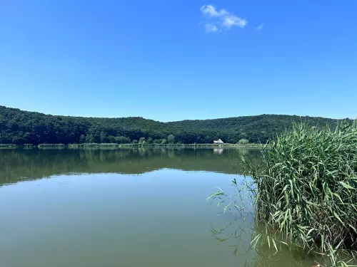 Harsányi horgásztó - Galéria kép