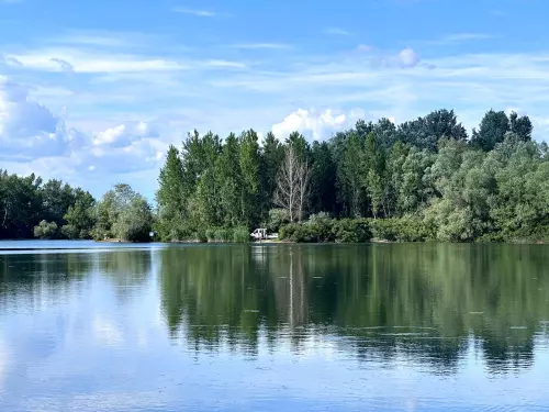 Erdészeti tó - Galéria kép