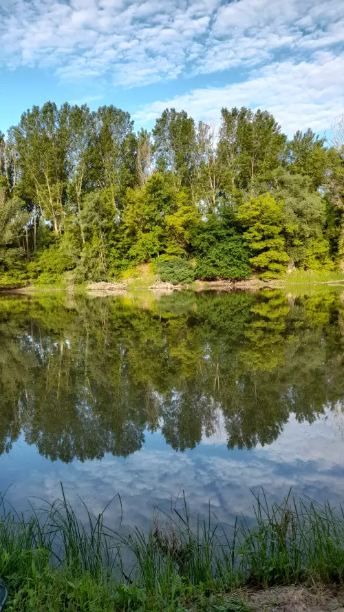 Solti Kisduna horgászhely képe – Solt