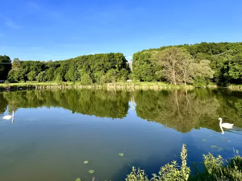 Csónakázó tó - Galéria kép