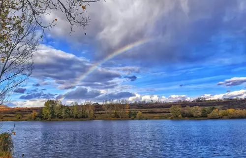 Bojlis és feederes horgászat - technikák haladóknak