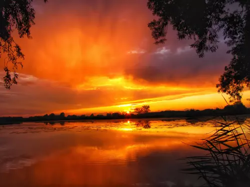 Horgászhely: Lipóti Holt-Duna