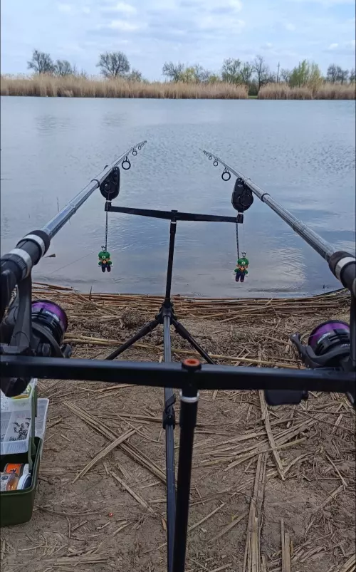 Fás-tó - Galéria kép