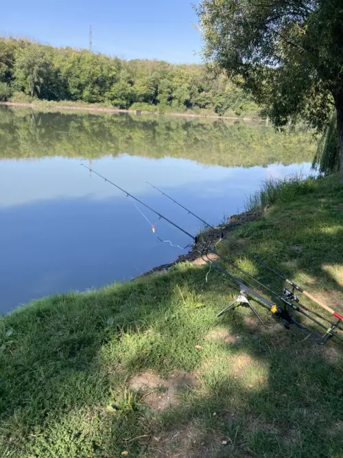 Felsőfarkasdi horgásztó - Galéria kép