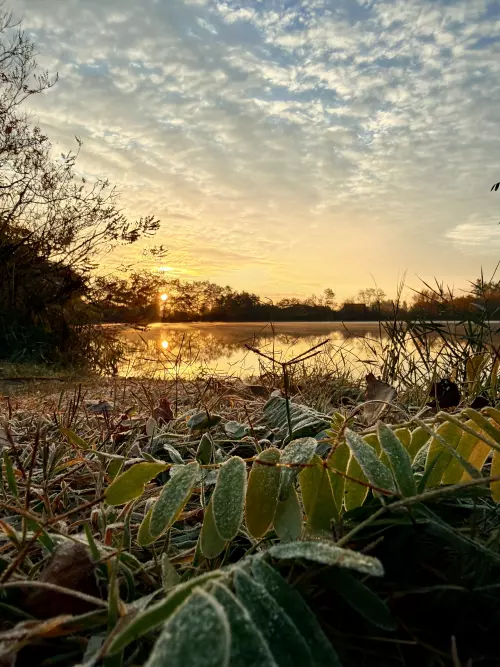Sziksós-tó - Galéria kép