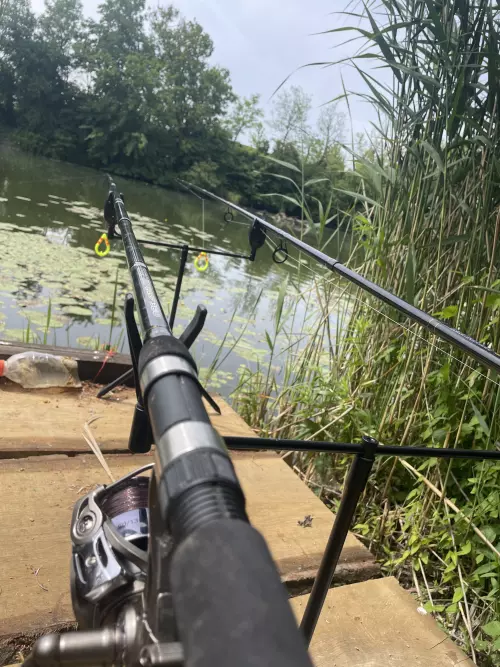 Horgászhely: Füzesi Duna