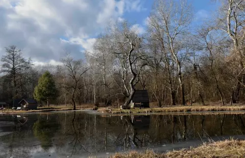 Sződligeti Horgásztó - Galéria kép