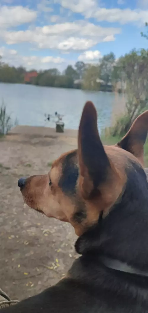 Berek horgászpark - Galéria kép