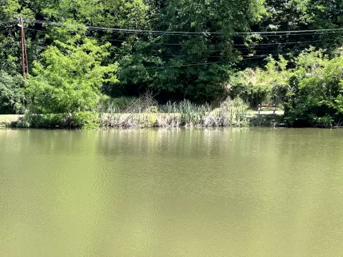 Felső tó - Galéria kép