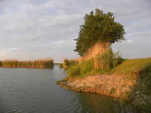 Gerecz Elemér Horgásztó - Galéria kép