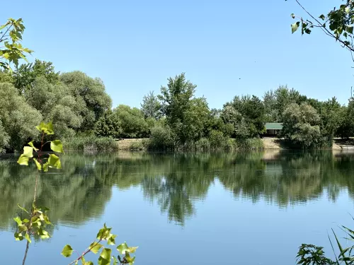 Boldvai tó - Galéria kép