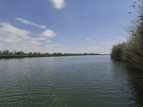 Horgászhely: Fás-tó