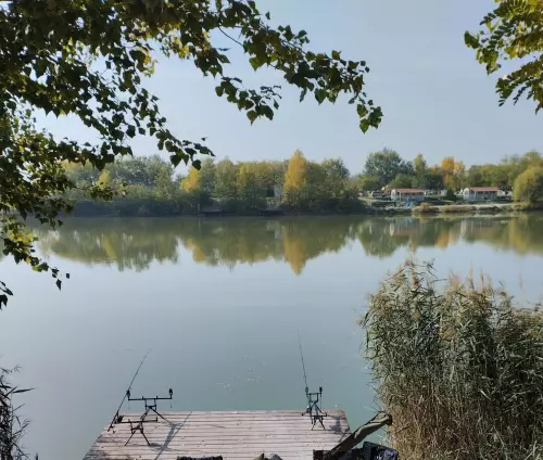 Horgászhely: Fish World