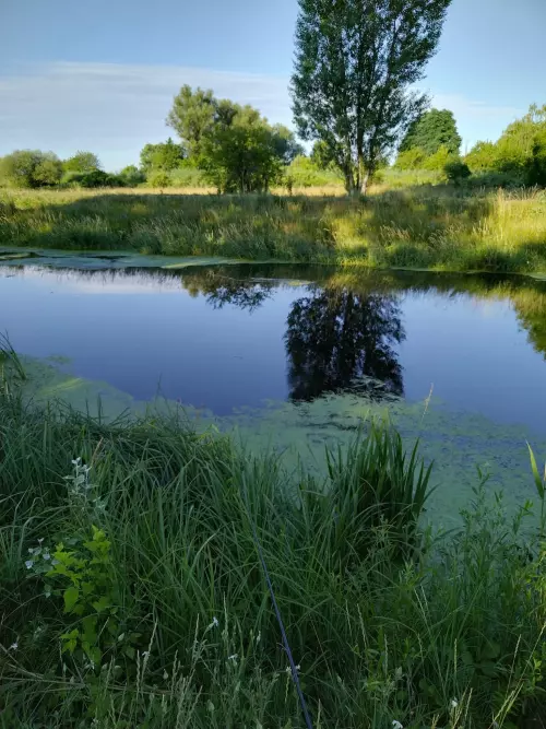 Horgászhely: Nádor-csatorna