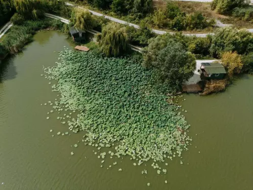 Don Carp Lake - Galéria kép