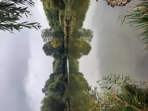 Látóhegyi tavak - Galéria kép