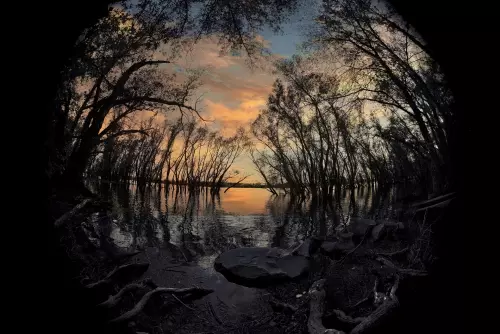 Dunakeszi Horgásztó - Galéria kép