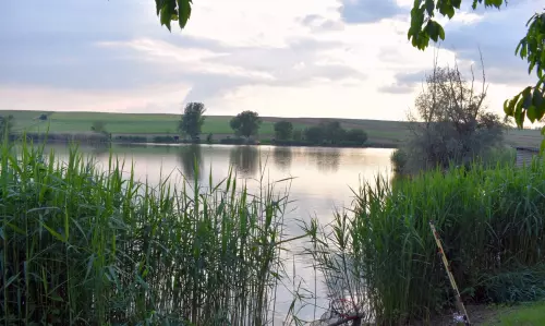 Zengő II. Horgásztó - Galéria kép