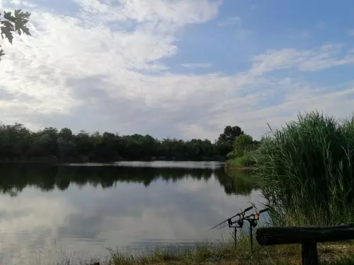 Peremvárosi Horgásztó és Pihenőpark - Galéria kép