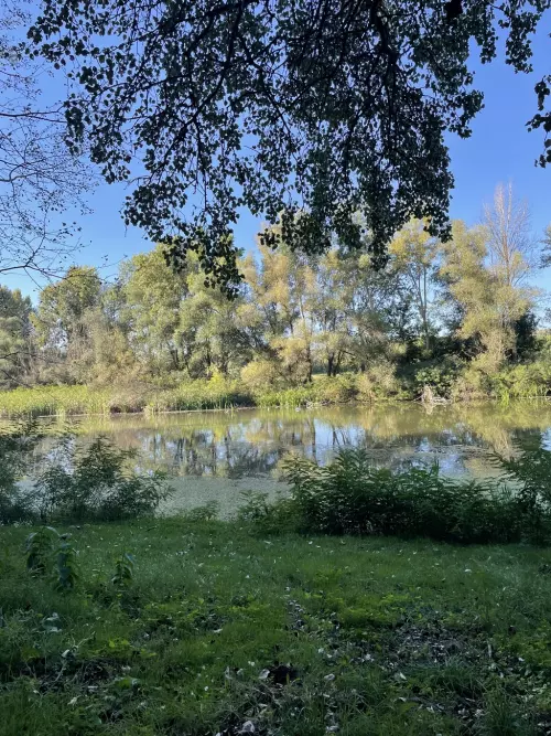 Kis-Tisza holtág - Galéria kép