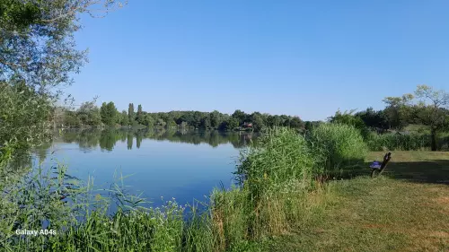 Sárberki horgásztó - Galéria kép