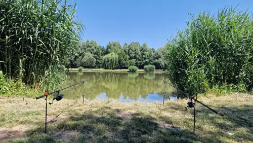 Tiszakécskei holtág - Galéria kép