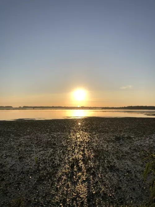 Tiszaalpári Holt-Tisza - Galéria kép