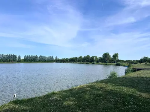 Árpád-hegyi horgásztó - Galéria kép