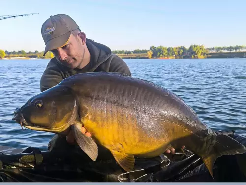 Carp & Carp Hejőkeresztúr - Galéria kép