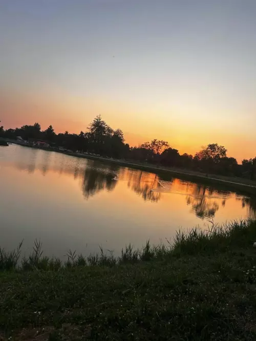 Széki tó - Galéria kép