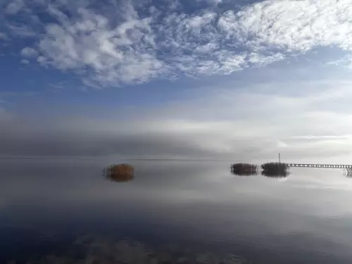 Fertő-tó - Galéria kép