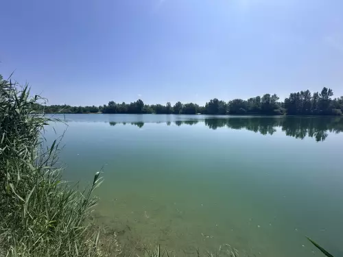Csalik típusai és használatuk – Pontytól csukáig