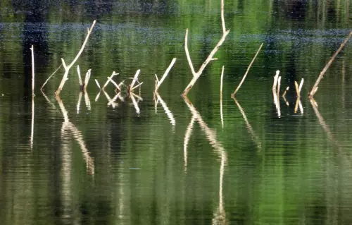 Vízitündér horgásztó - Galéria kép