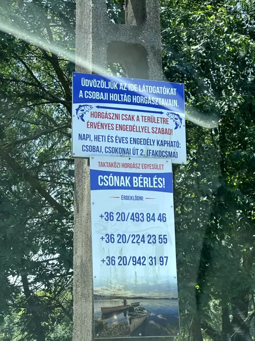 Csobaji-holtág/Kifli-tó - Galéria kép