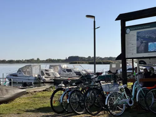 Fűzfa kikötő és pihenőpark - Galéria kép